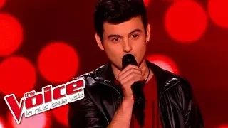 Michel Polnareff – Une simple mélodie | Paul | The Voice France 2015 | Blind Audition