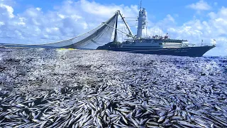 Unbelievable Big Net, Net Fishing Catch Hundreds of Tons of Fish on Modern Boat