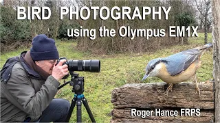 Photographing Nuthatches using the Olympus EM1X and 300mm F4 Lens
