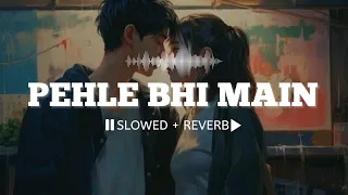 Pehle Bhi Main (Slowed + Reverb) || Vishal Mishra || Animal 🎧