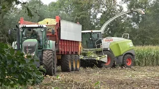 Mais hakselen in Wierden met Claas Jaguar 960 + Fendt 939, 936 en 716 Vario (2018)