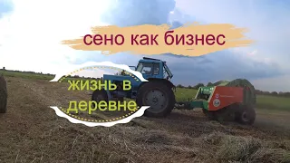 Сено как бизнес. Будет ли толк заходить в бизнес в 2022.