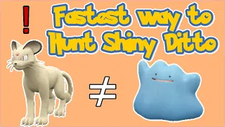 THE BEST WAY TO HUNT FOR SHINY DITTO IN POKEMON SCARLET AND VIOLET