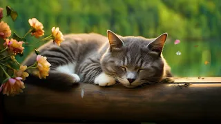 A Purring Cat with Nature Sounds Relieves Stress and Helps you Relax