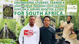Growing Four Season Hops Hydroponically On A Johannesburg Rooftop with Khaya Maloney