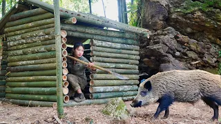 construction, bamboo shelter, skills, wild boar traps, survival alone