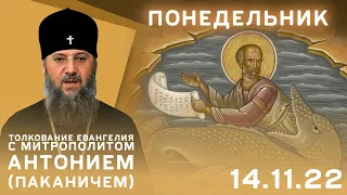 Толкование Евангелия с митр. Антонием (Паканичем). Понедельник, 14 ноября 2022 года
