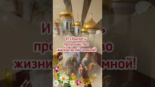 Введение во храм Пресвятой Богородицы!🌹Поздравление #shorts