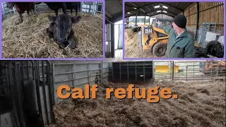 06/02/24  Building a calf refuge.