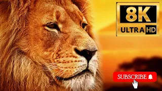 1500 ANIMALS NAMES and SOUNDS 8K PLUS ULTRA HD2K HD PART 3 |#AHMAD SAEED#