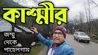 প্রচুর বরফ, টিউলিপ, আপেল জুস্, দারুন ওয়েদার, সব পেয়েছি। কমপ্লিট কাশ্মীর || JAMMU TO PAHALGAM KASHMIR