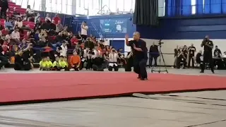 Choy lee fut Kung fu新会蔡李佛