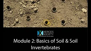 Farming with Soil Life Module 2 (all regions): Basics of Soil & Soil Invertebrates