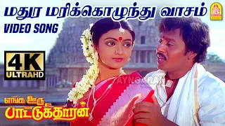 Madura Marikkozhunthu Evergreen 4K Video Song  மதுர மரிக்கொழுந்து Enga Ooru Pattukaran | Ilaiyaraaja