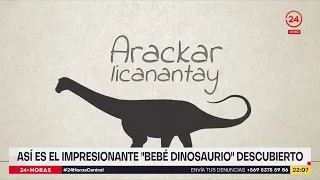 Descubren embrión de dinosaurio casi en perfecto estado