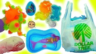 Dollar Tree Haul -Shopping Video