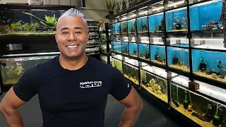 This AMAZING Fish Store Started in a GARAGE [Tour]