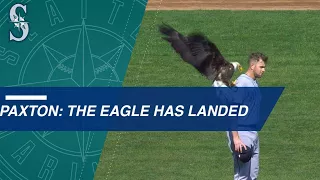 Bald eagle lands on Paxton during anthem