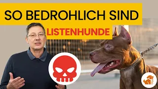 Die Wahrheit über Listenhunde - So gefährlich sind "Kampfhunde" wirklich!