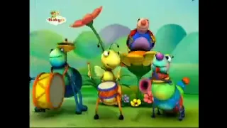 Big Bugs Band | Flute, Drums, and Music