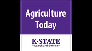 1676 - Cattle Market Recovery...Visiting K-State for a Semester