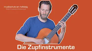 Die Zupfinstrumente