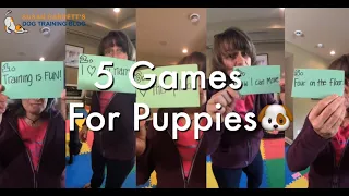 Susan Garrett's 5 Games for Puppies