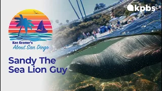 About San Diego: Sandy The Sea Lion Guy