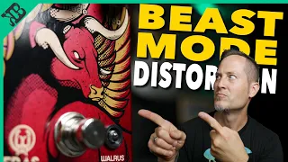 High Gain Pedal That Sounds Like An Amp?! | Walrus Audio ERAS Distortion | Gear Corner