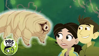 Wild Kratts | Meet the Tiny Tardigrade! | PBS KIDS