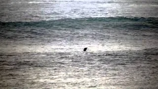 Maxime Oulhen Bodyboarding