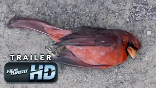 CARDINAL | Official HD Trailer (2020) | HORROR SHORT | Film Threat Trailers