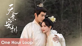【One Hour Loop】Royal Rumours《花琉璃轶闻》 | 《天意安排》"Tian Yi An Pai" by 银临Rachel【ENG SUB】