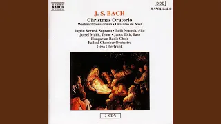 Weihnachts-Oratorium, BWV 248, Pt. 1: Aria: Ich will nur dir zu Ehren leben (Tenor)