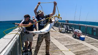 I ALMOST Got Spooled on the Pensacola Fishing Pier Then This Happened!