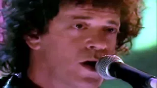 LOU REED - Satellite of Love (Live)