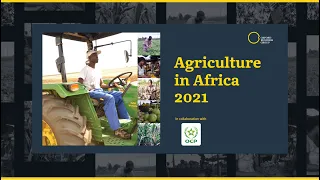 Agriculture in Africa 2021