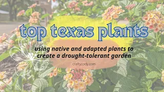 Top 5 Texas Plants for Drought-Tolerant Gardening | Cody's Craft Corner