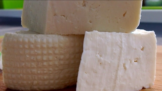 Молодой сыр из молока в мультиварке. Имеретинский сыр.
