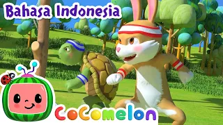 Kura-kura dan Kelinci | CoComelon Bahasa Indonesia - Lagu Anak Anak