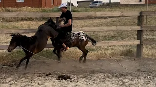 Обучение пони.Конёк Горбунок