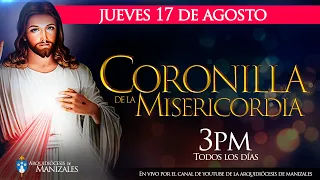 Coronilla de la Divina Misericordia de hoy jueves 17 de agosto y Hora Santa Padre Luis Felipe Castro