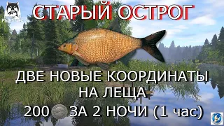 🌟СТАРЫЙ ОСТРОГ🌟НОВЫЕ КОРЫ НА ЛЕЩА🌟Русская Рыбалка 4(РР4)🌟