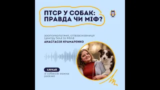 ПТСР у собак: Правда чи міф? Розповідає зоопсихологиня Анастасія Крамаренко