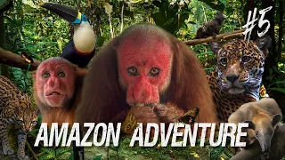 WILDLIFE RESCUE in The Amazon| Discovering Animals and Their Stories