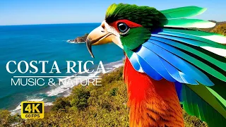 🦜🌿🌊 COSTA RICA | Relaxing Film in 4k & Nature Sounds