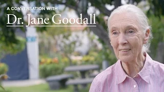 A Conversation with Dr. Jane Goodall | EF Educational Tours