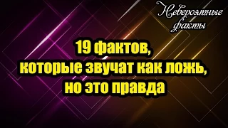 19 фактов, которые звучат как ложь, но это правда - Невероятные факты (Чехменок Андрей)