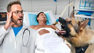 Dog came to say goodbye to his Owner, he notices something strange And stops the doctor
