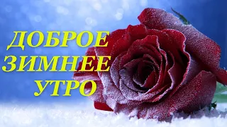 Пожелание ДОБРОГО ЗИМНЕГО УТРА!Видео открытка!